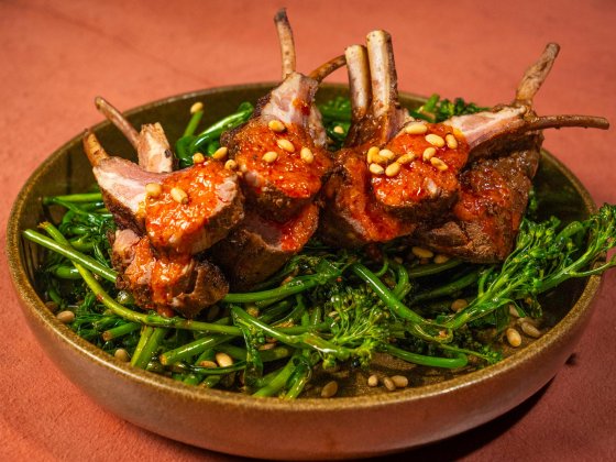 Seared Lamb Chops and Charred Broccolini with Lemon Harissa Vinaigrette
